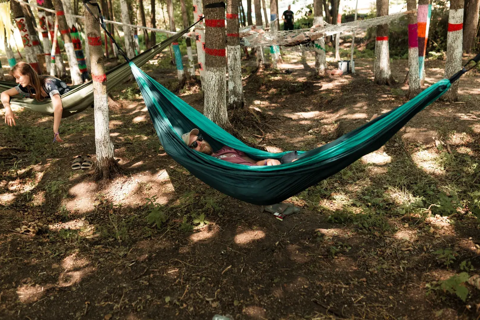 A hammock in the grove