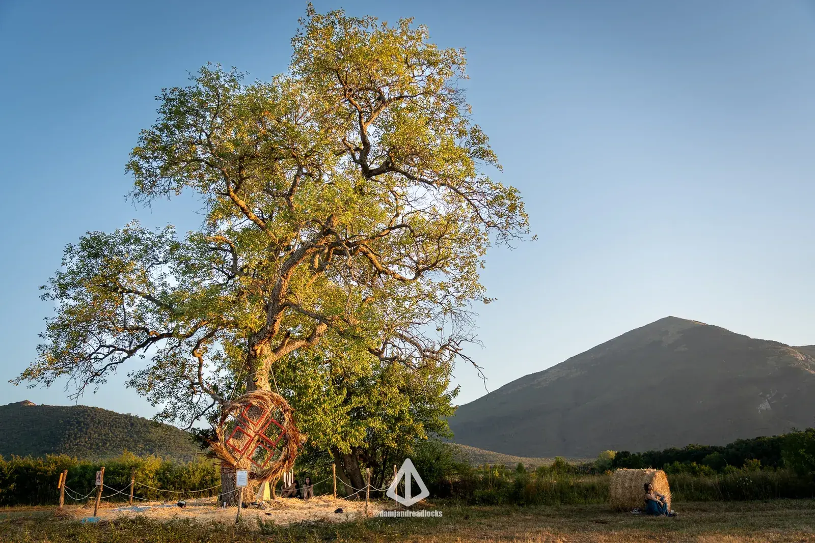 The old pear tree in the middle of the meadow, hung with offerings, Rtanj behind