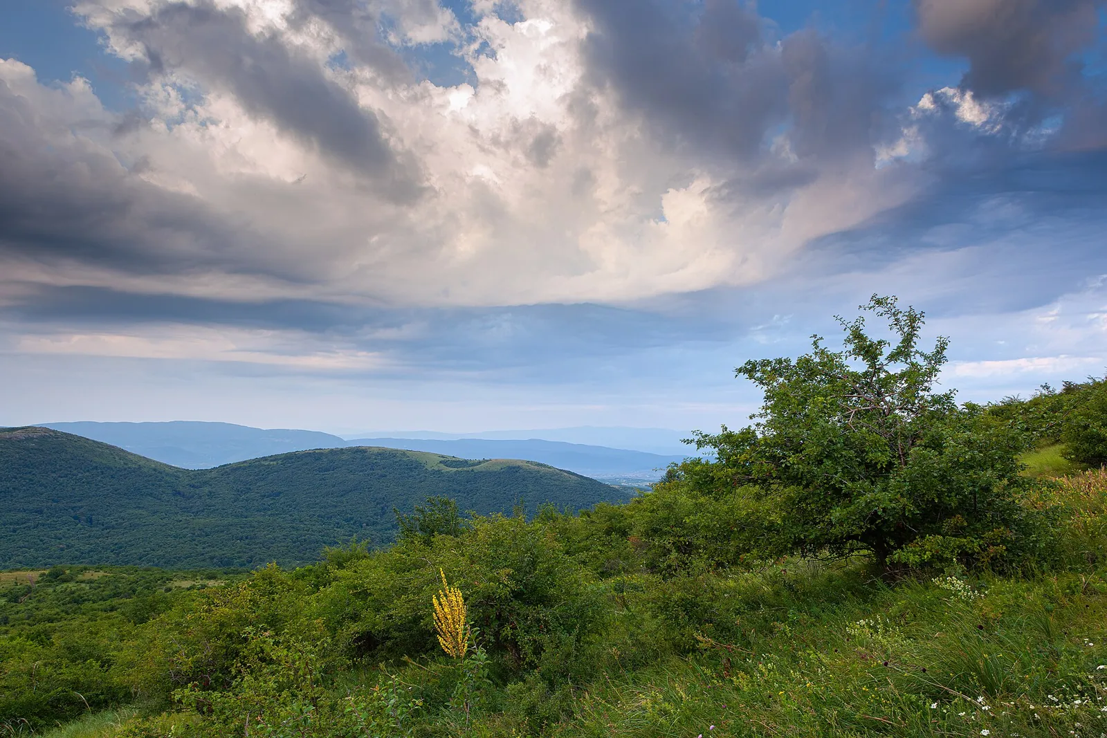 Zelene padine i pogled sa staze ka Šiljku