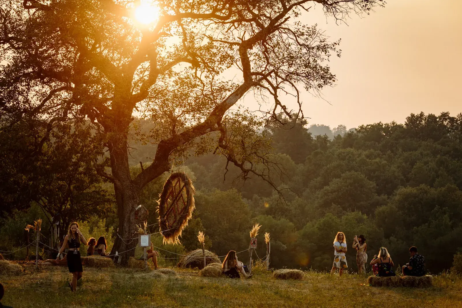 The golden hour on the village meadow, people sitting under an old oak
