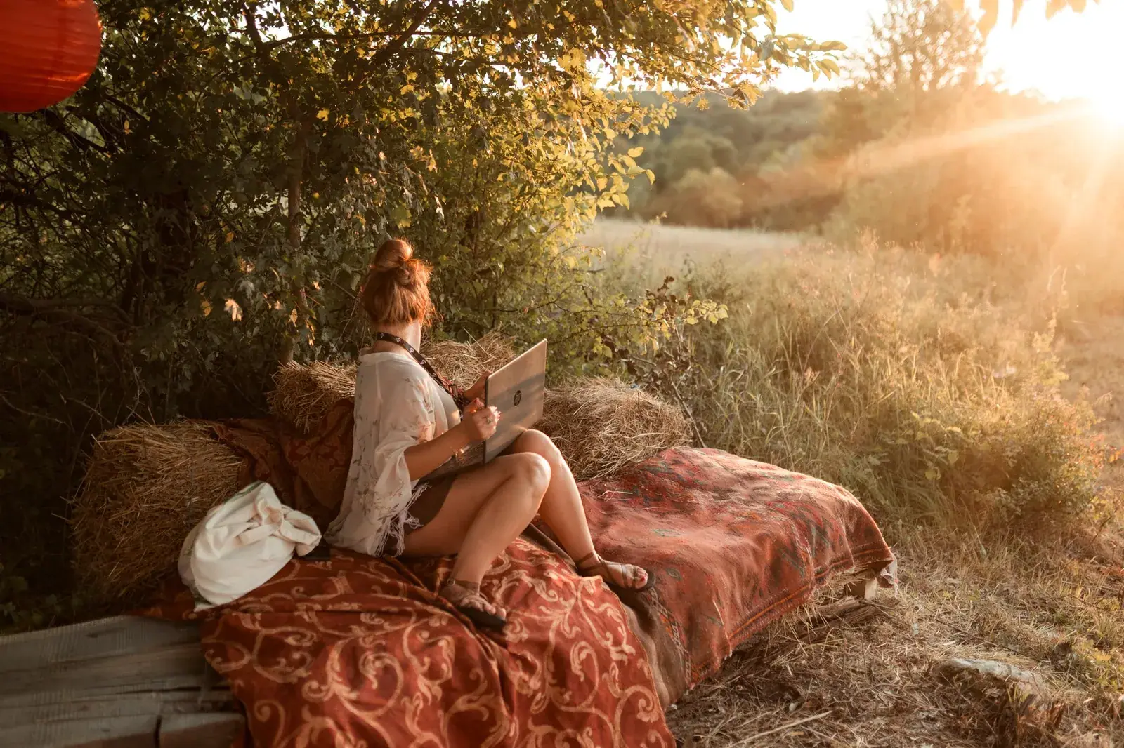 Resting on the meadow at sunset