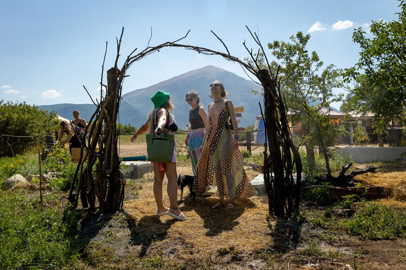 A gate woven from branches with Rtanj behind